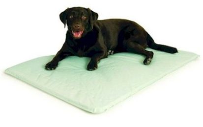 Cool Bed III (Options: Small/Original Gray)